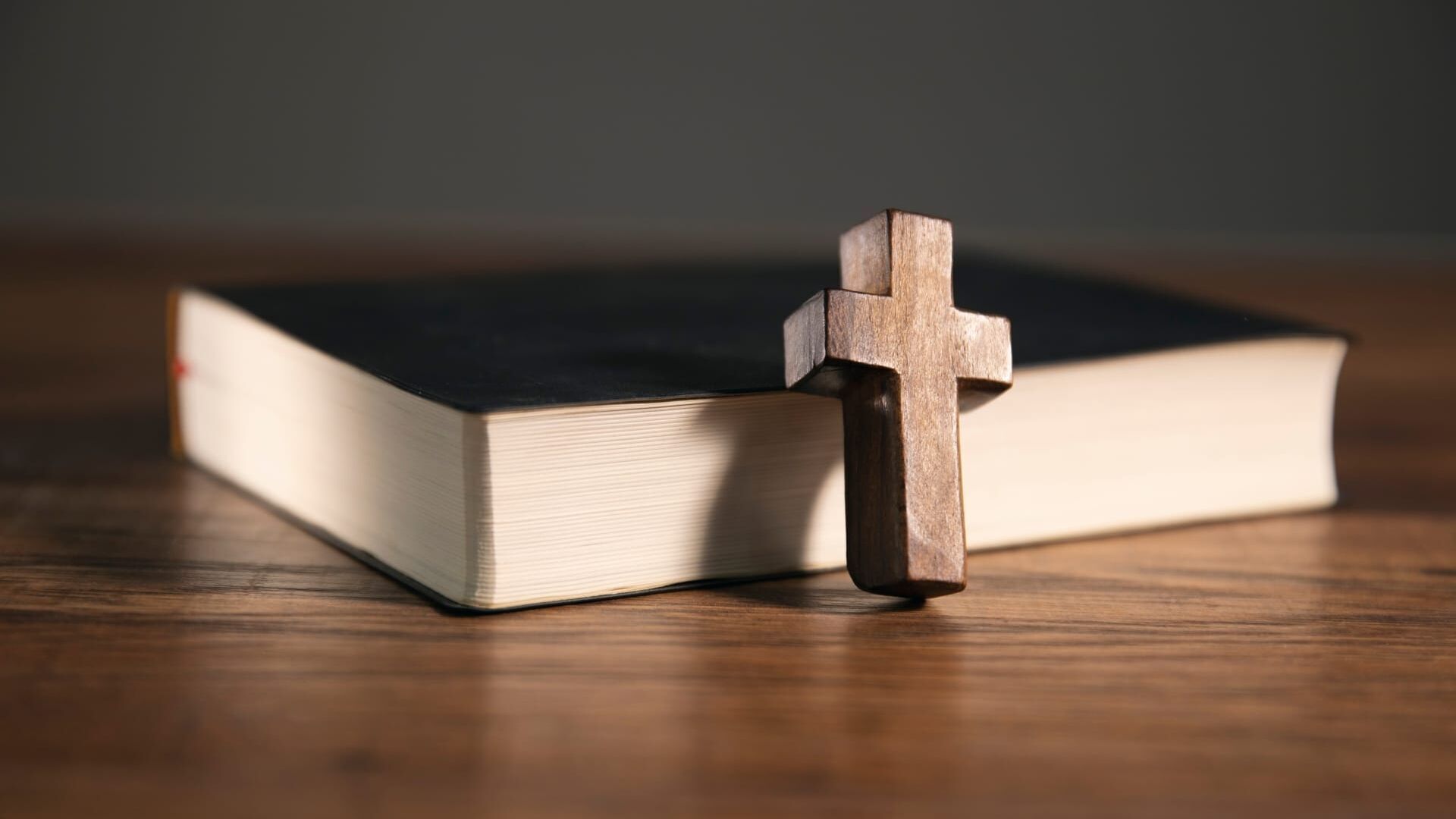 Générations Laudato si'