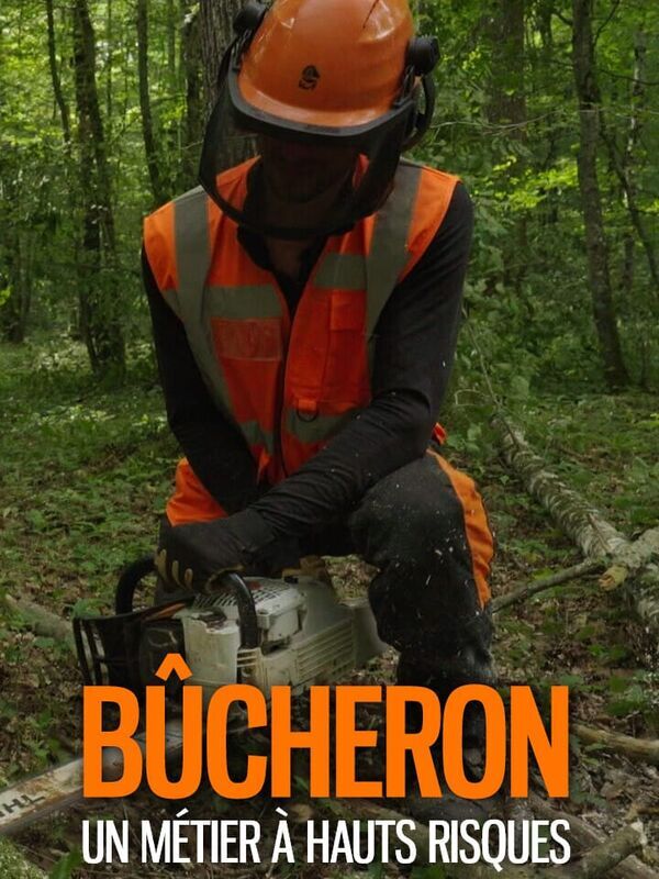Bûcheron : un métier à hauts risques