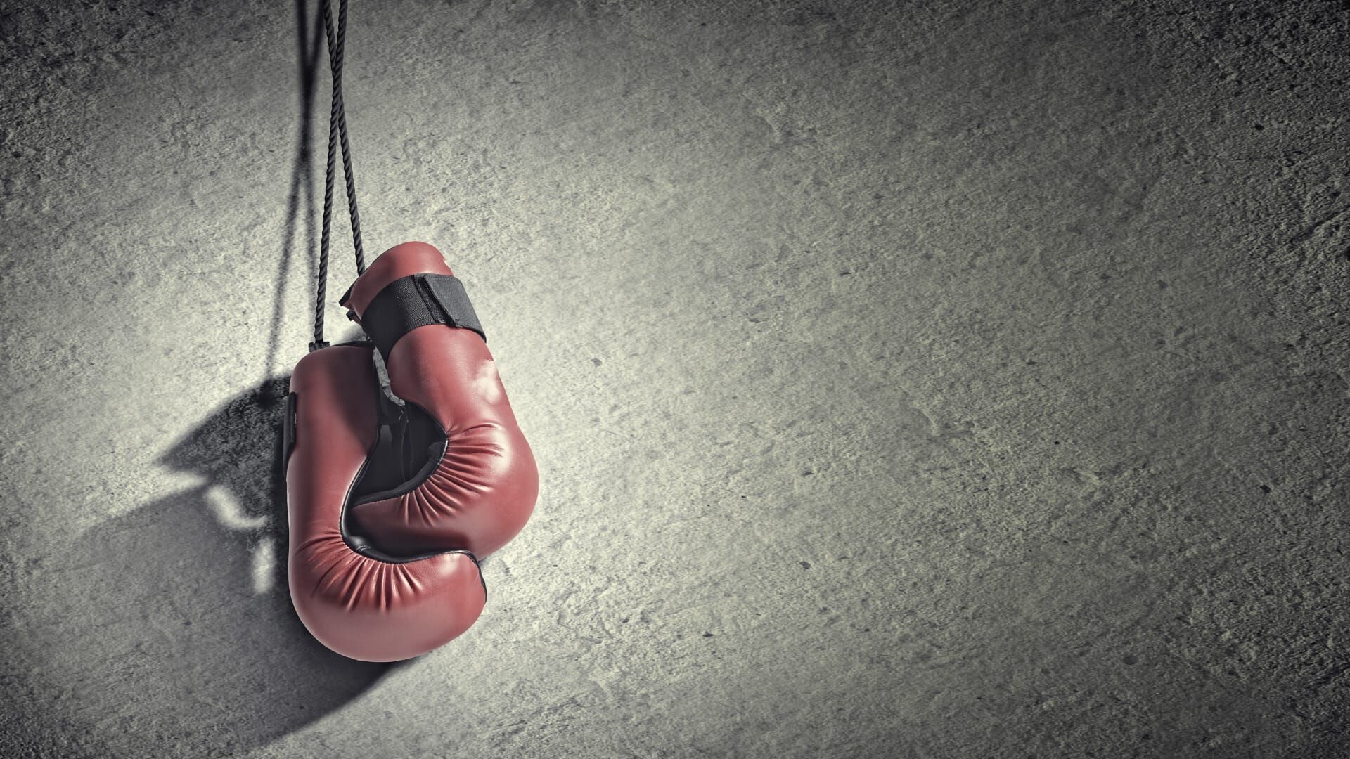 Boxe : WBC Youth
