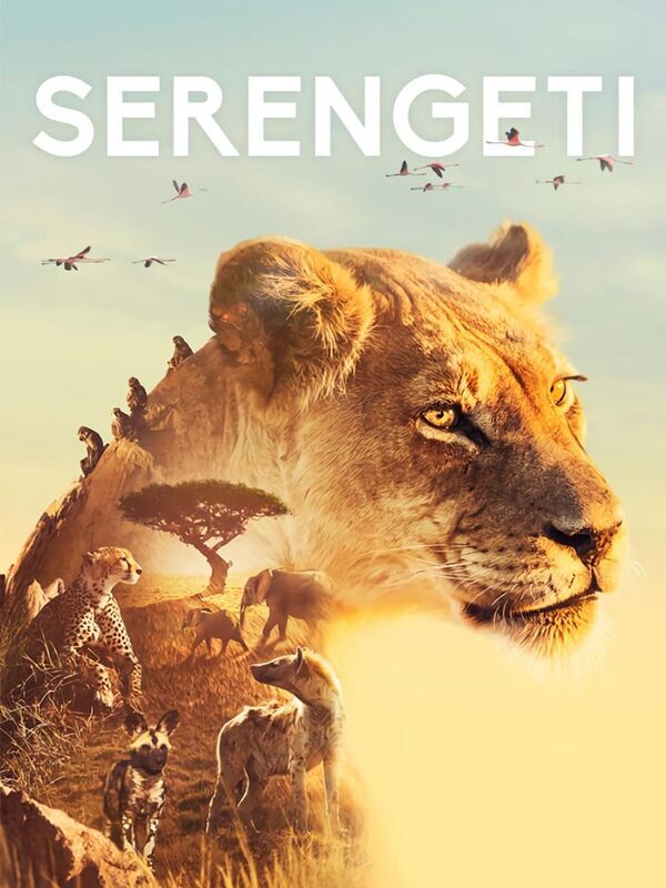 Serengeti, la grande cavalcade des animaux