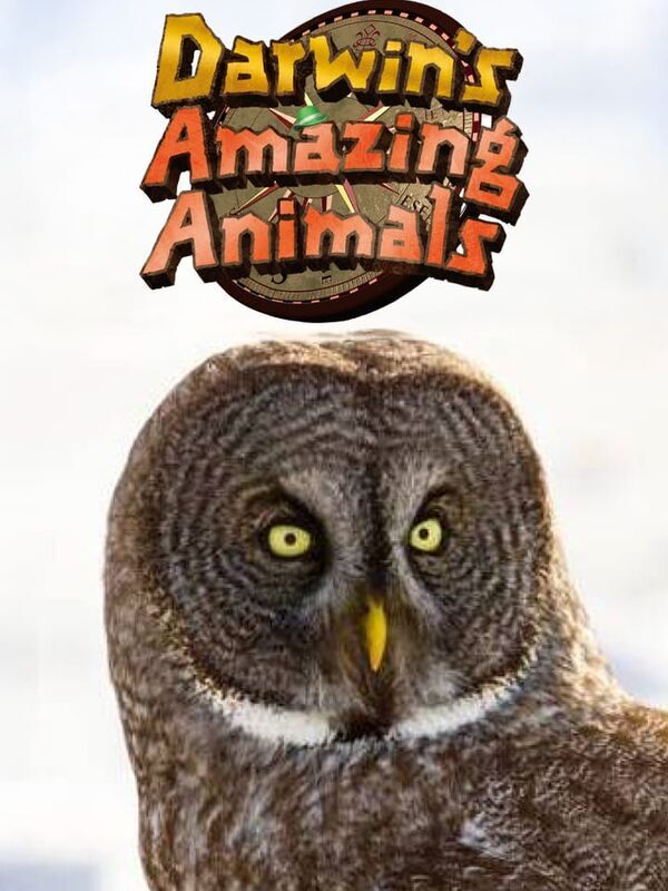 Darwin's Amazing Animals