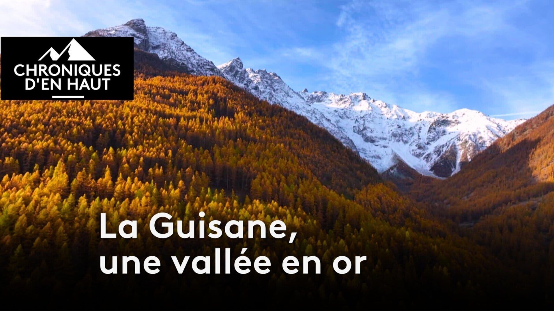 Chroniques d'en haut