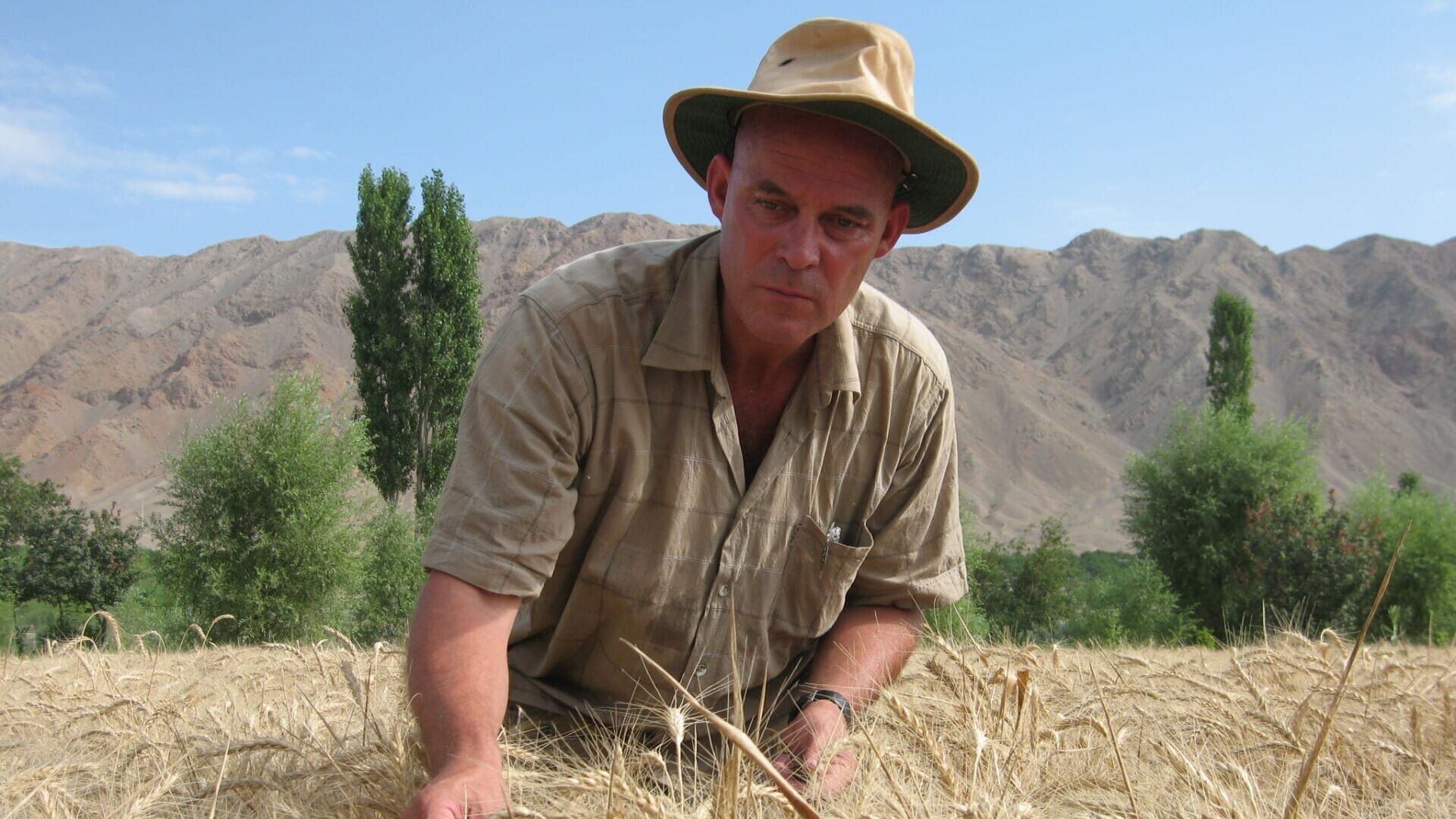 Chasseur de graines