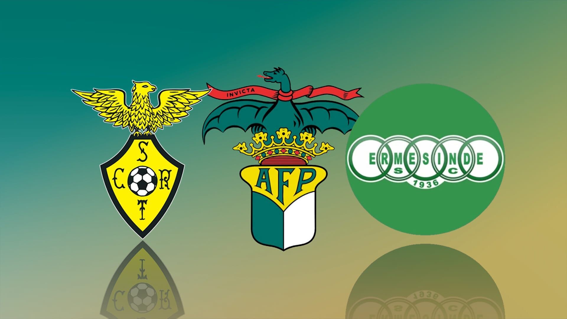 AF Porto Decathlon Liga Pro