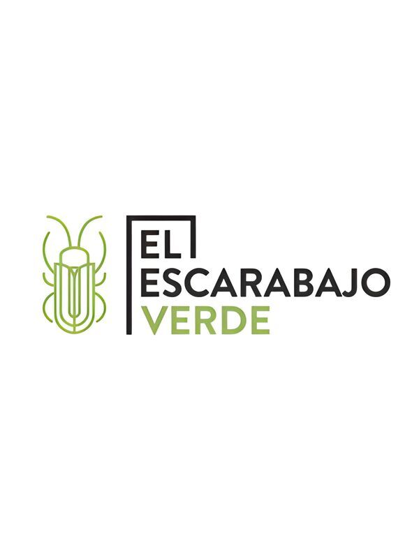 El escarabajo verde