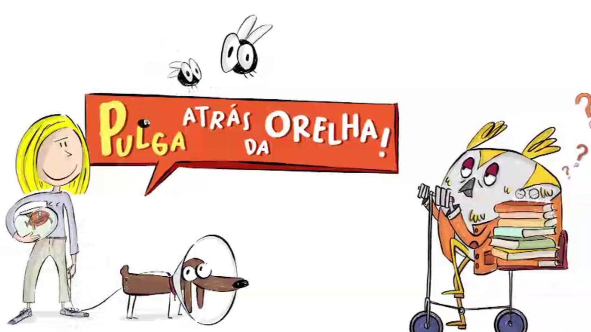 Pulga Atrás da Orelha
