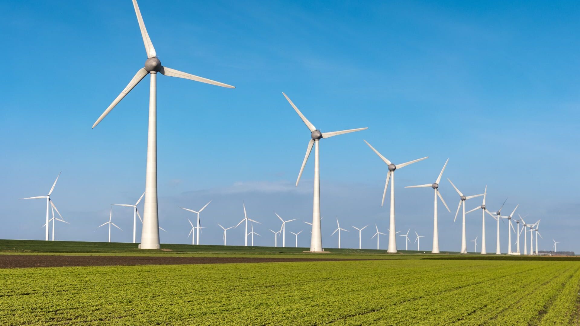 Haro sur les éoliennes