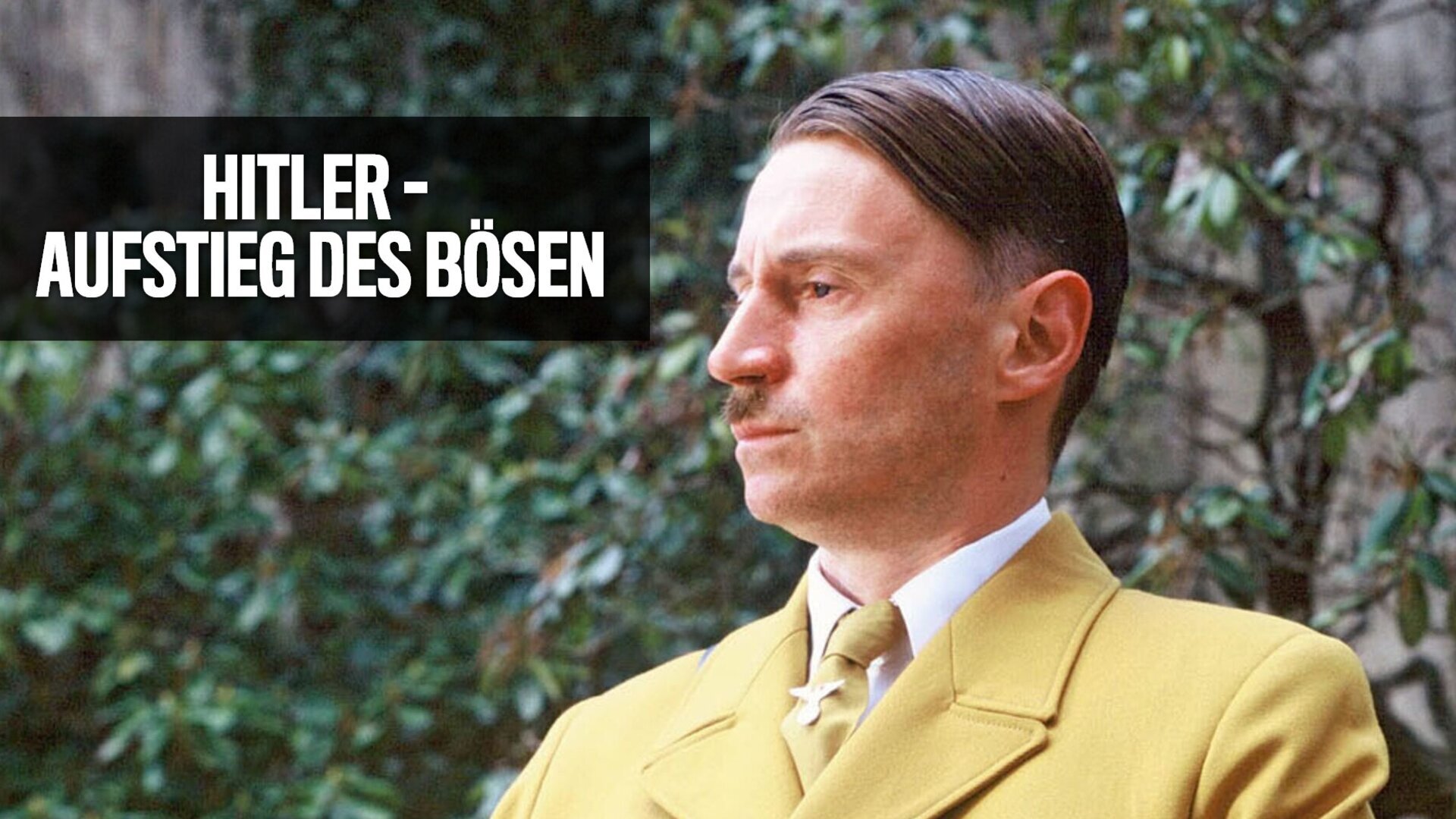 Hitler, la naissance du mal