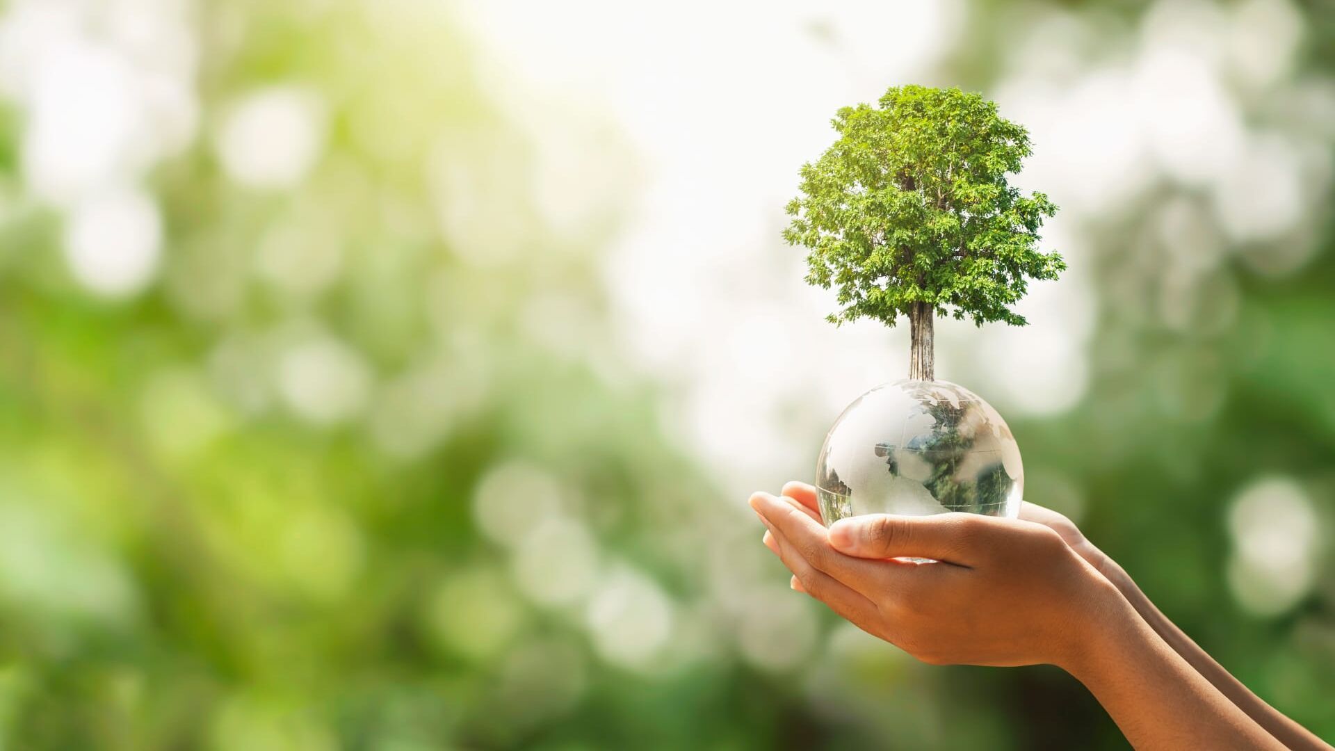 The Climate Question