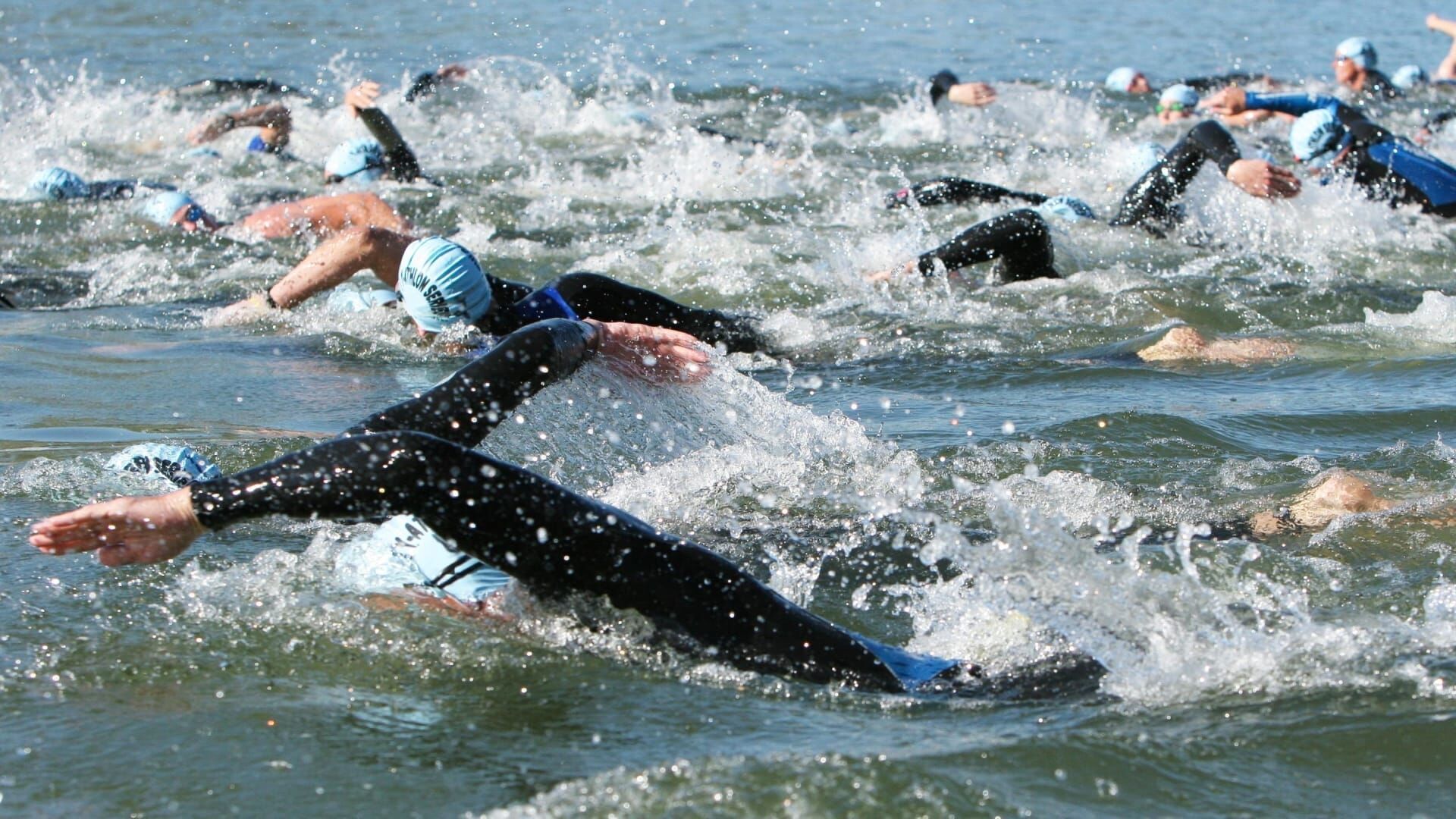 Triathlon : World Triathlon Championship Series