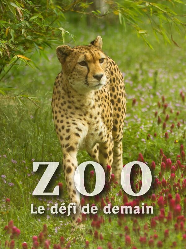 Zoo : le défi de demain