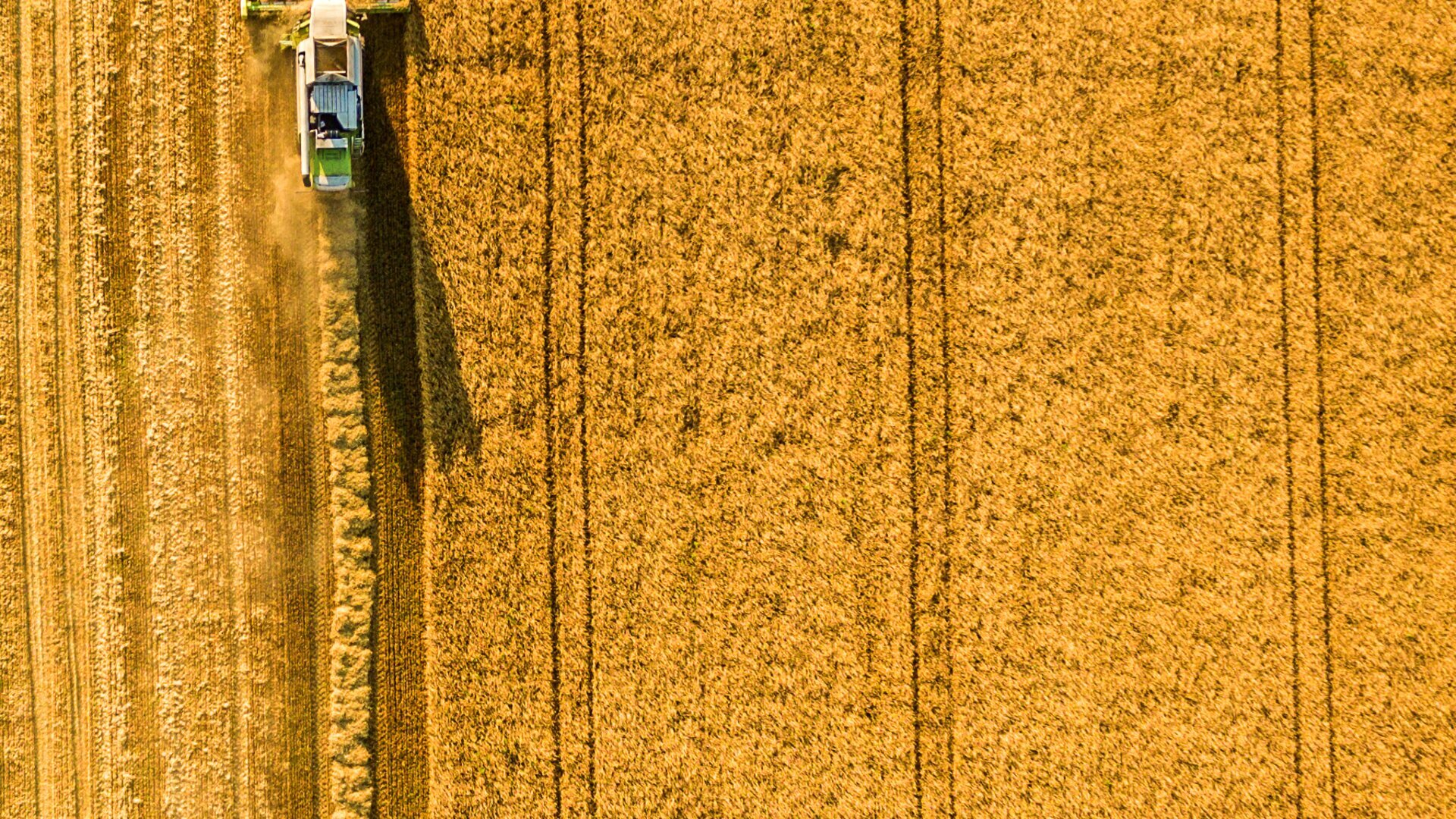 Terre de partage, passion céréales