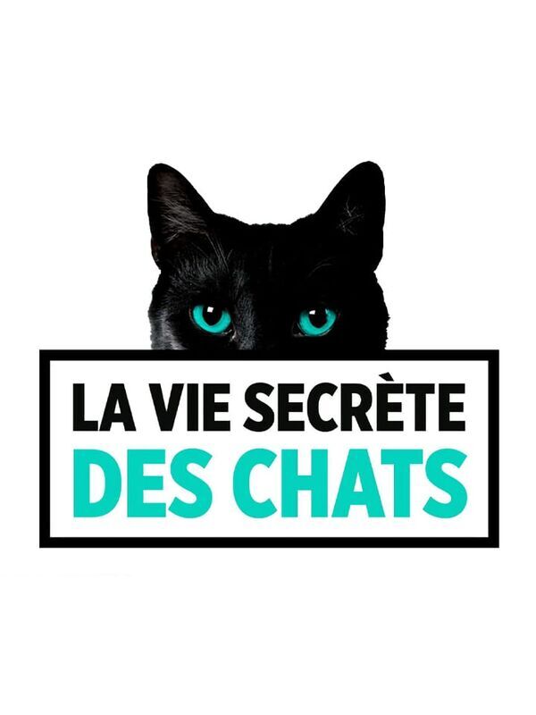 La vie secrète des chats