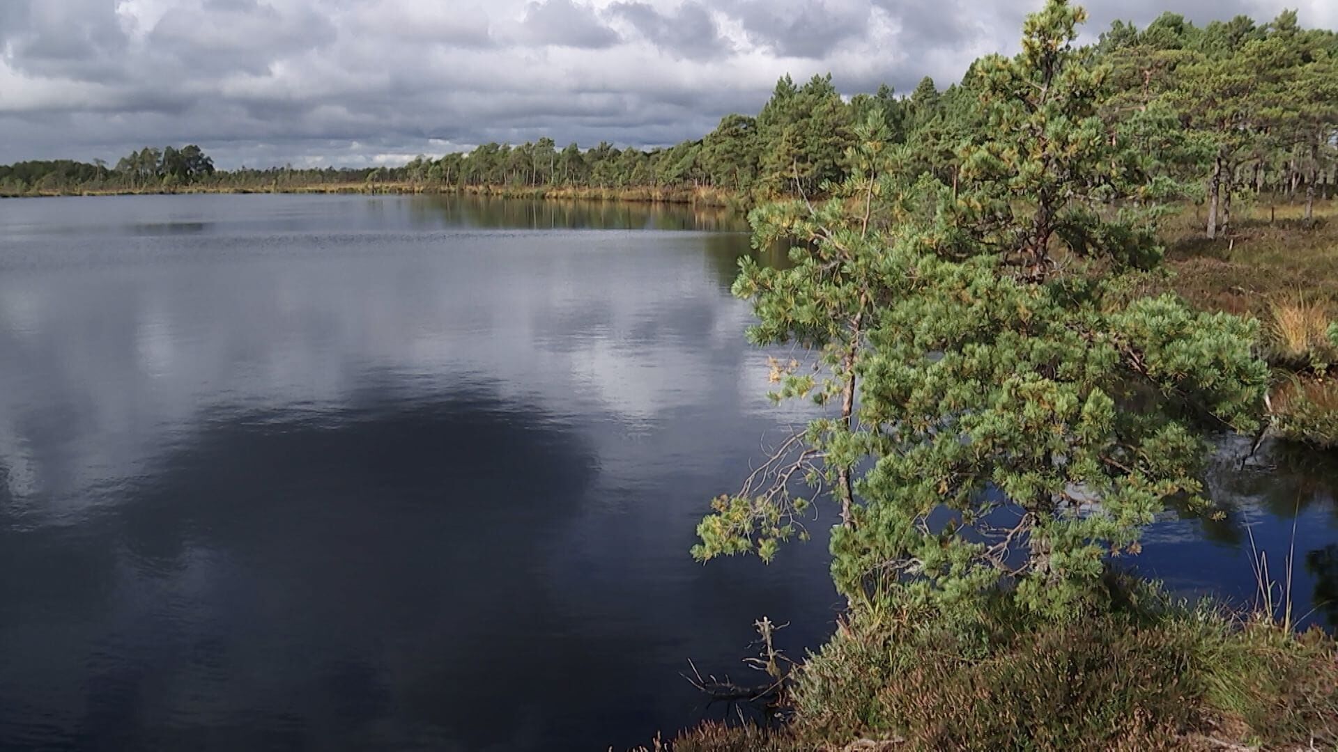Les parcs nationaux des pays baltes