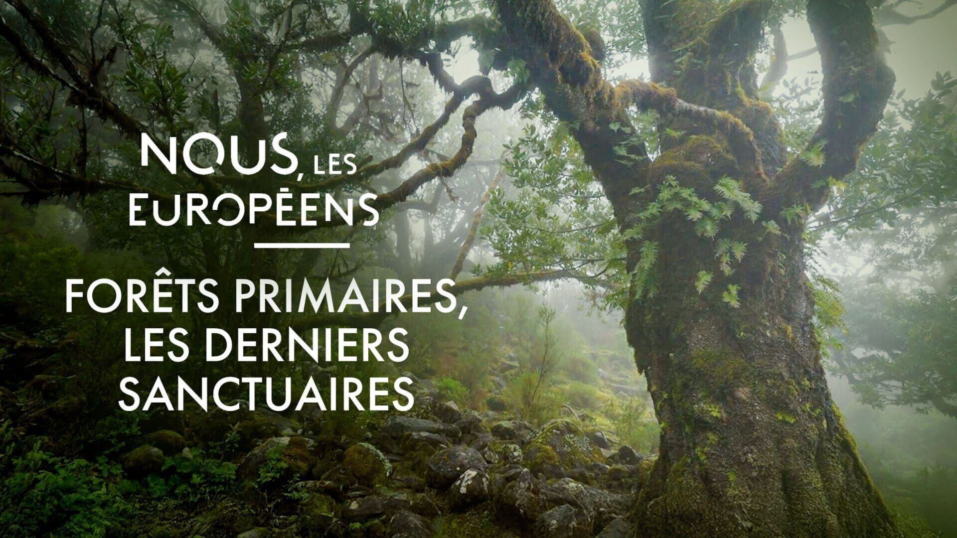 Nous, les Européens