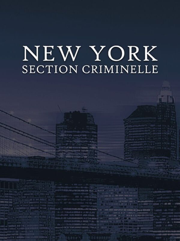 New York, section criminelle
