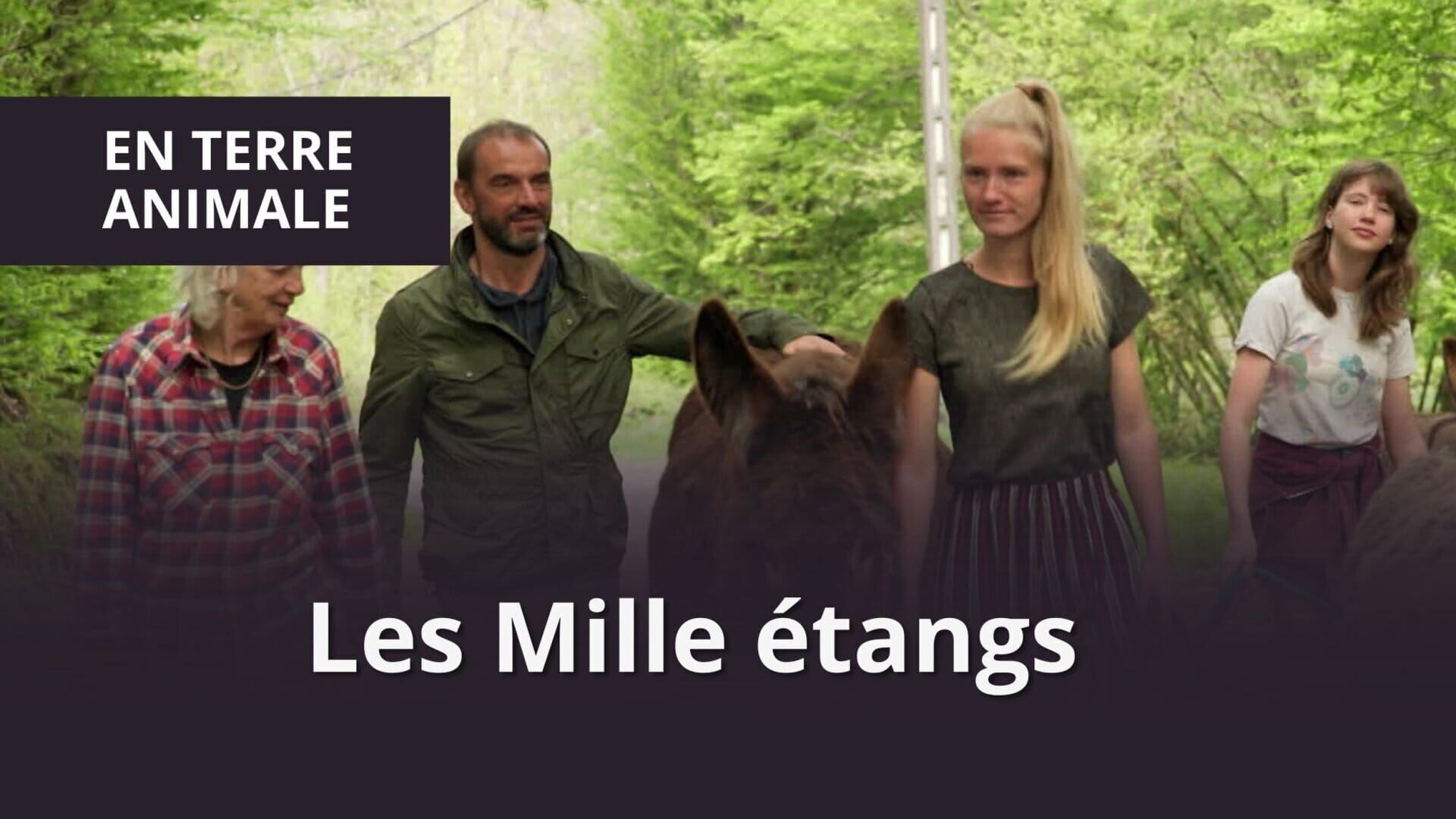 En terre animale