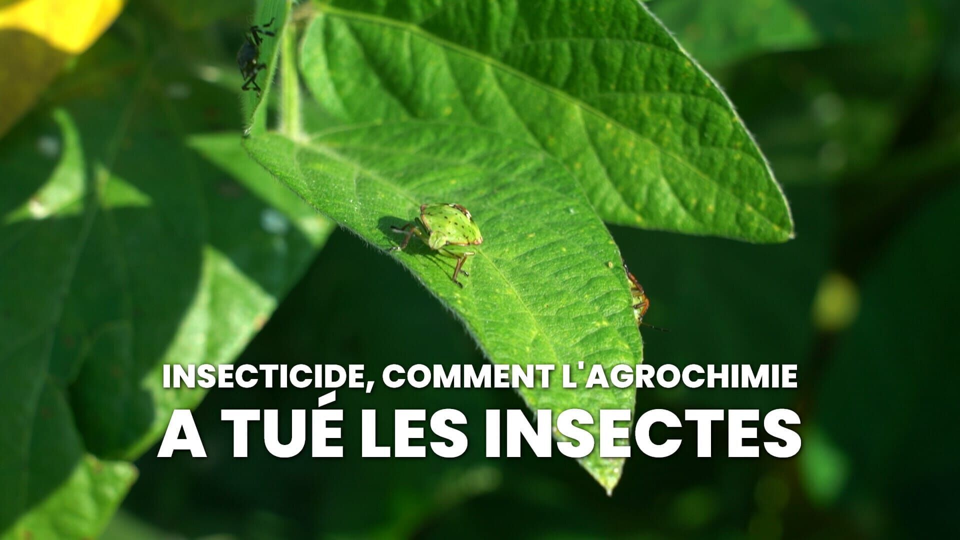 Insecticide, comment l'agrochimie a tué les insectes
