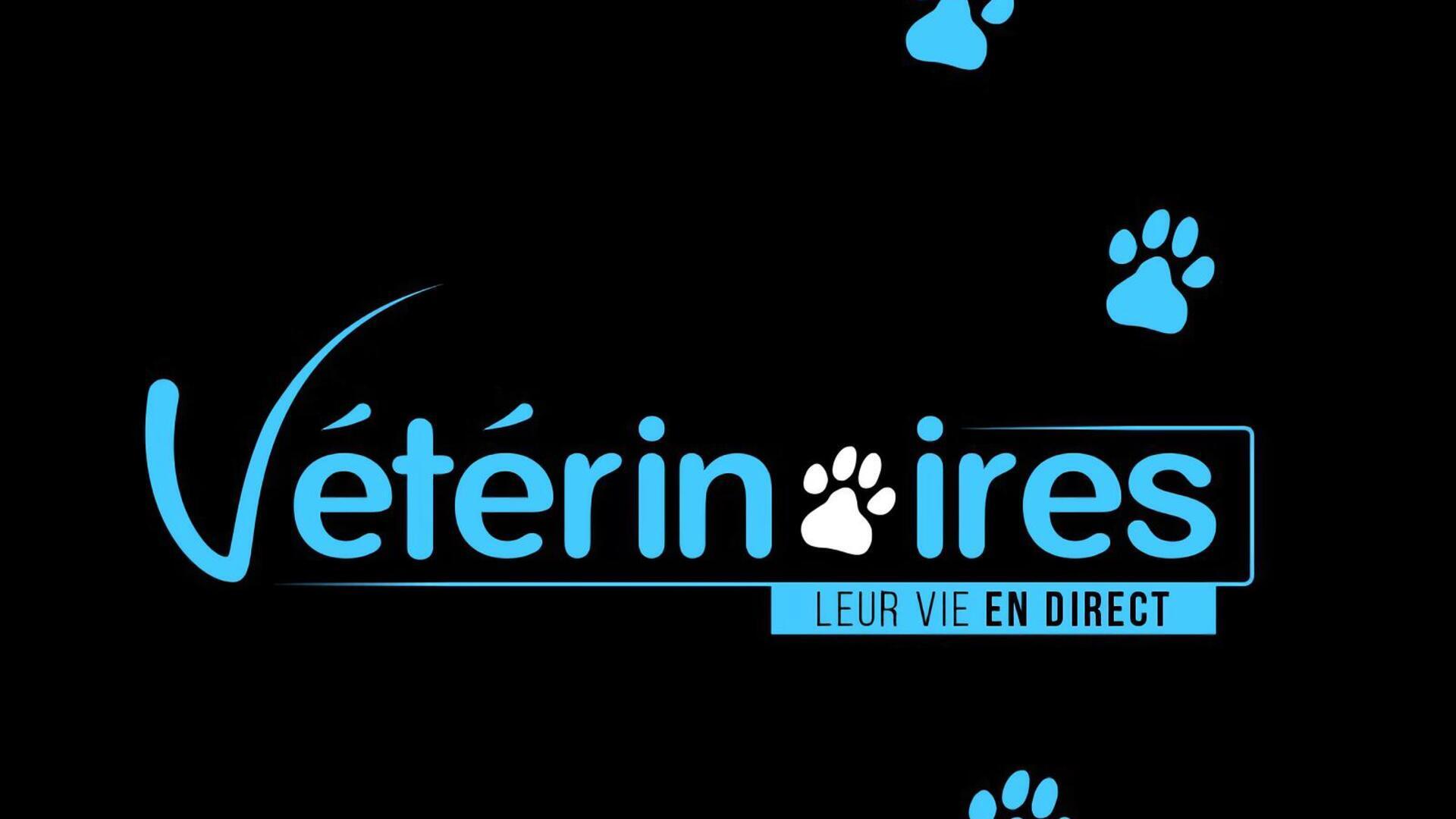 Vétérinaires, leur vie en direct