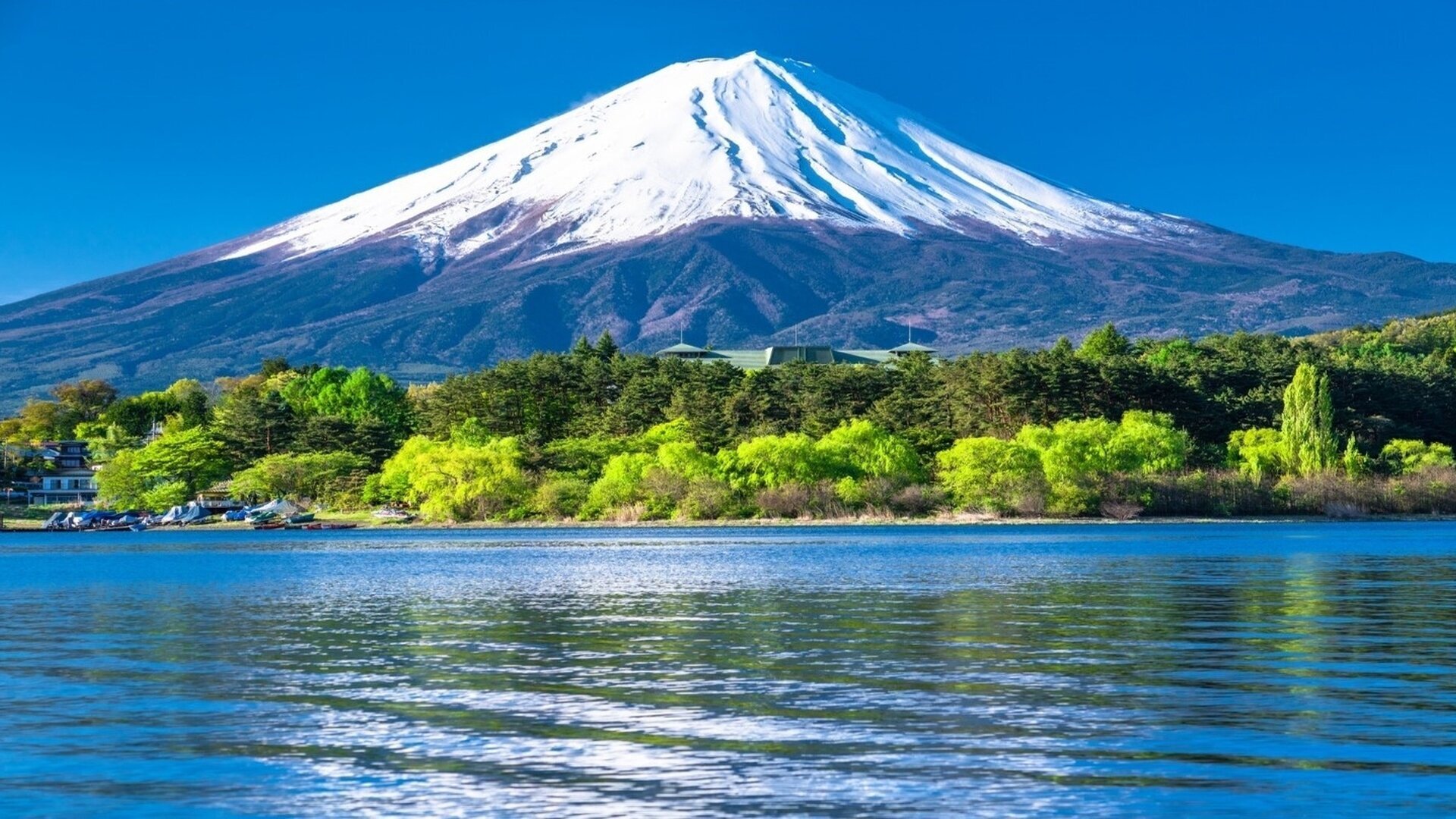 Japan's Wilderness