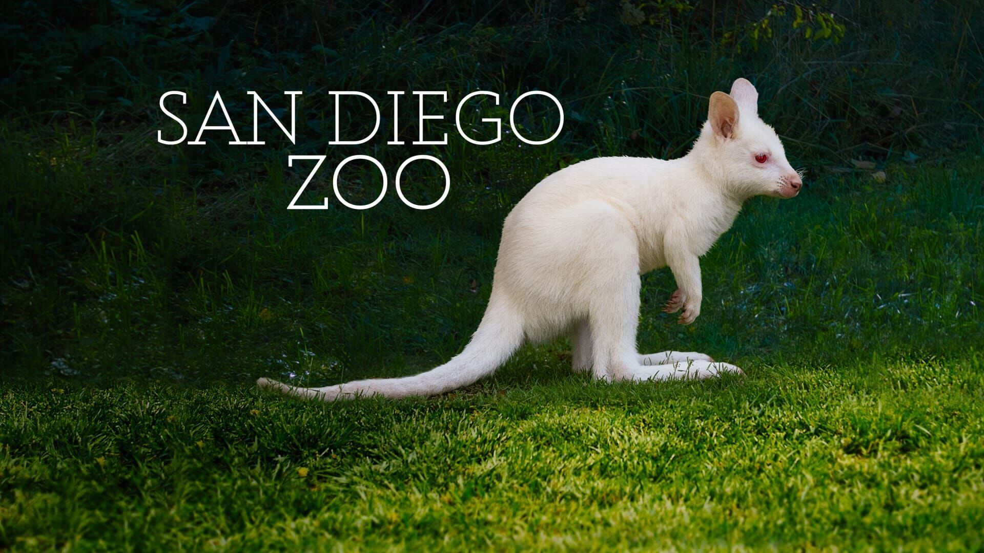 Le Zoo de San Diego