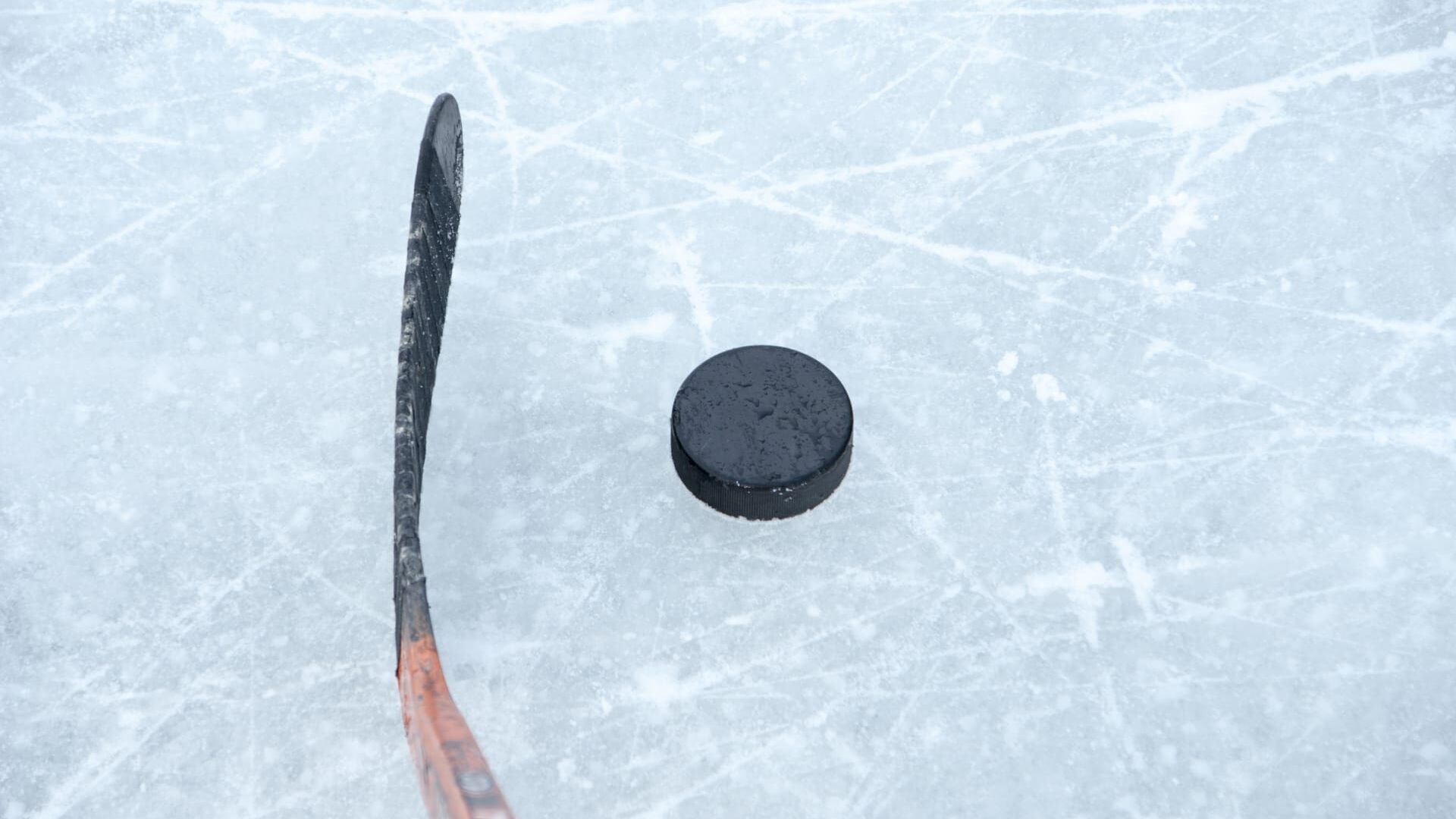 Hockey sur glace : Division 1