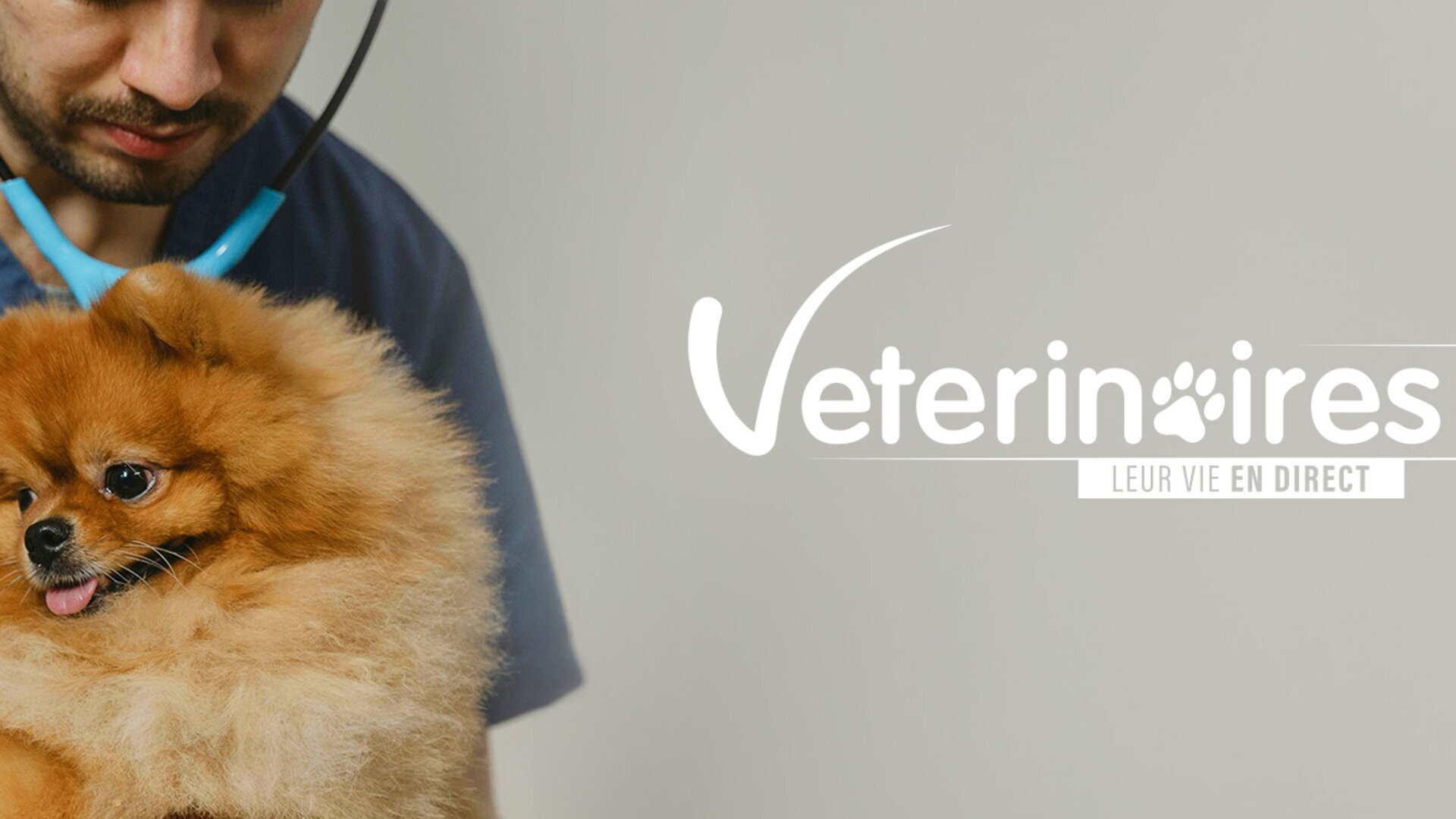 Vétérinaires, leur vie en direct