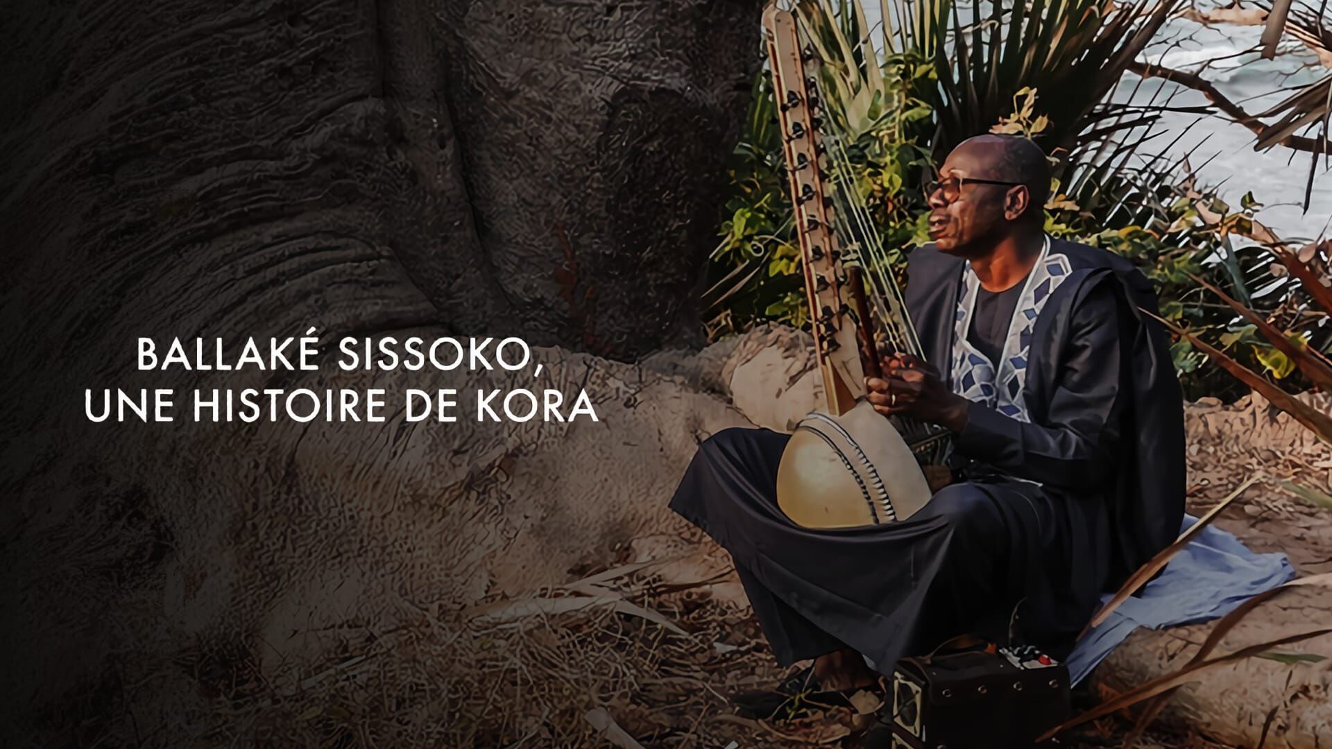 Ballaké Sissoko : une histoire de kora