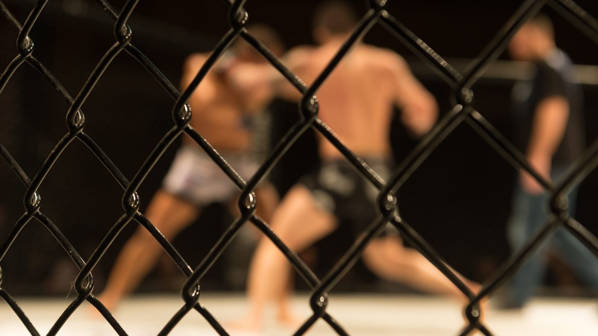 MMA : Soirée spéciale UFC