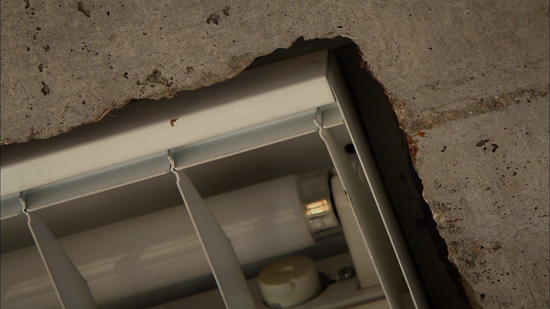 Architectures — MUSEUM TV 08:40