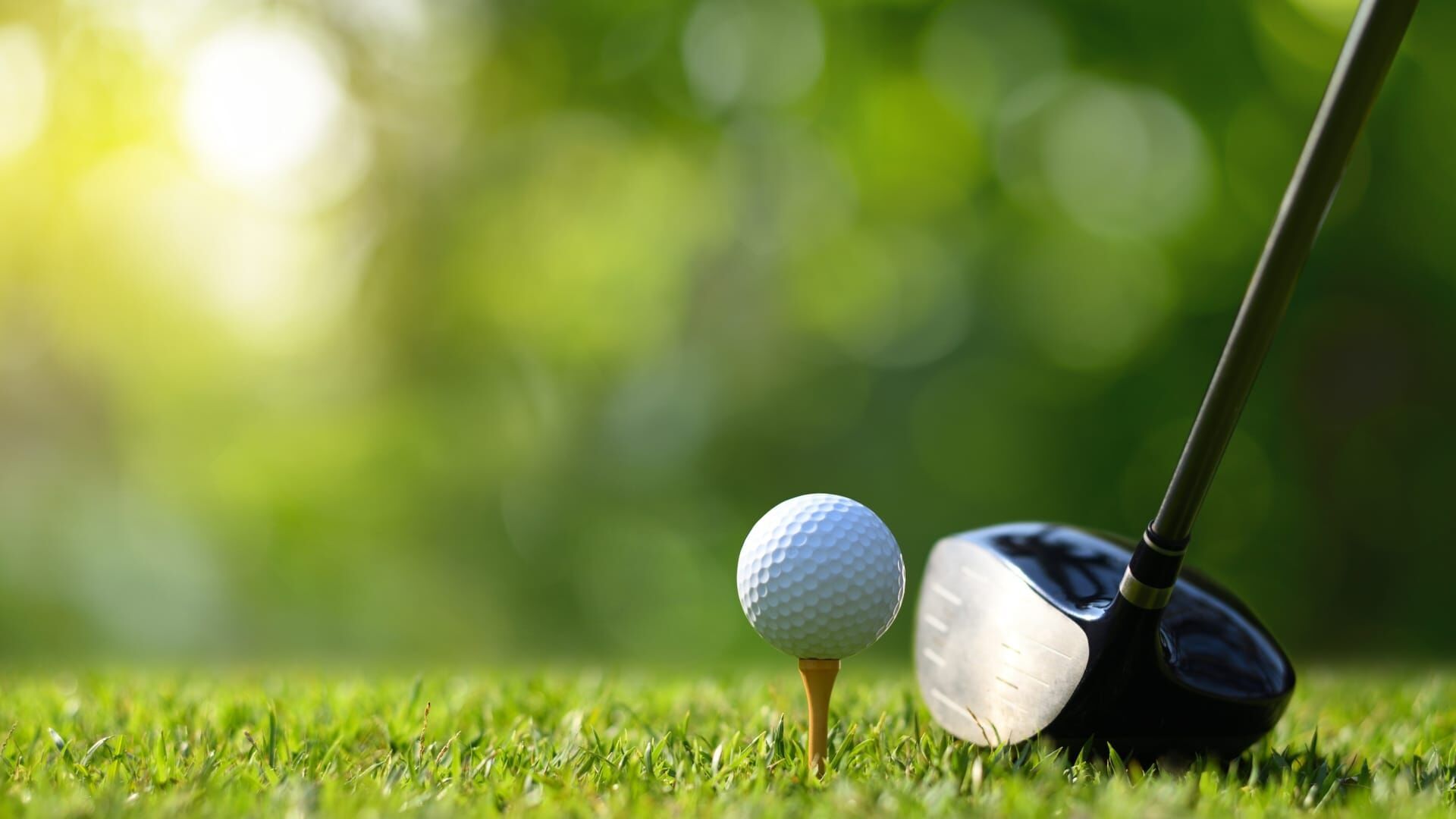 Golf : Biltmore Championship