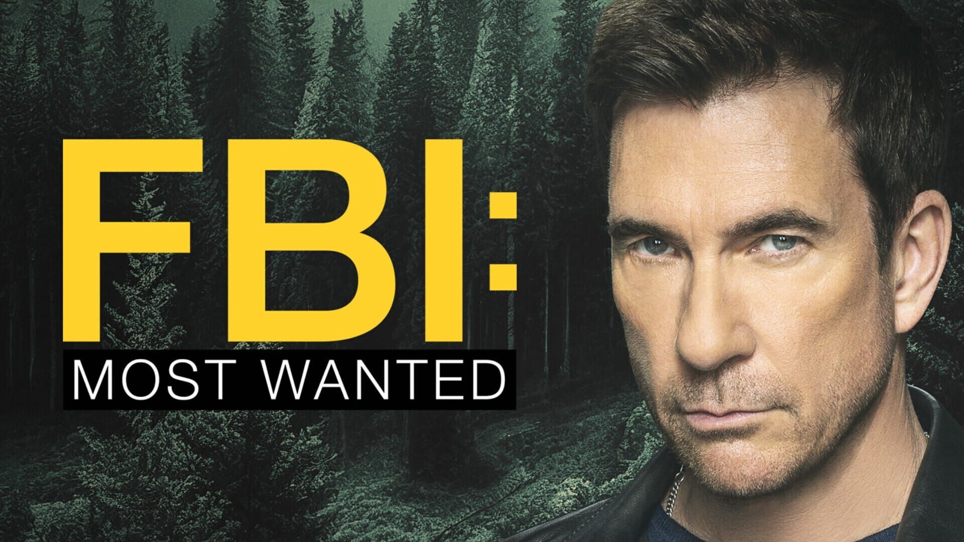 Most Wanted Criminals