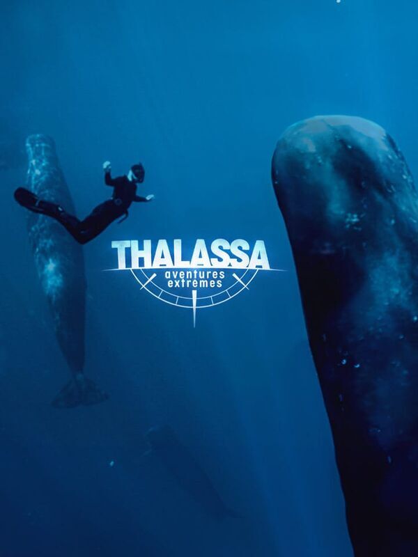 Thalassa, aventures extrêmes