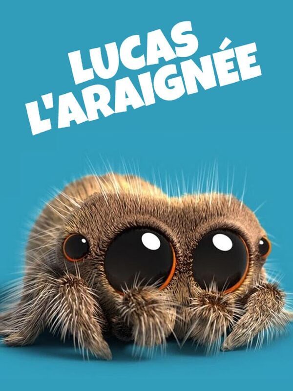Lucas l'araignée