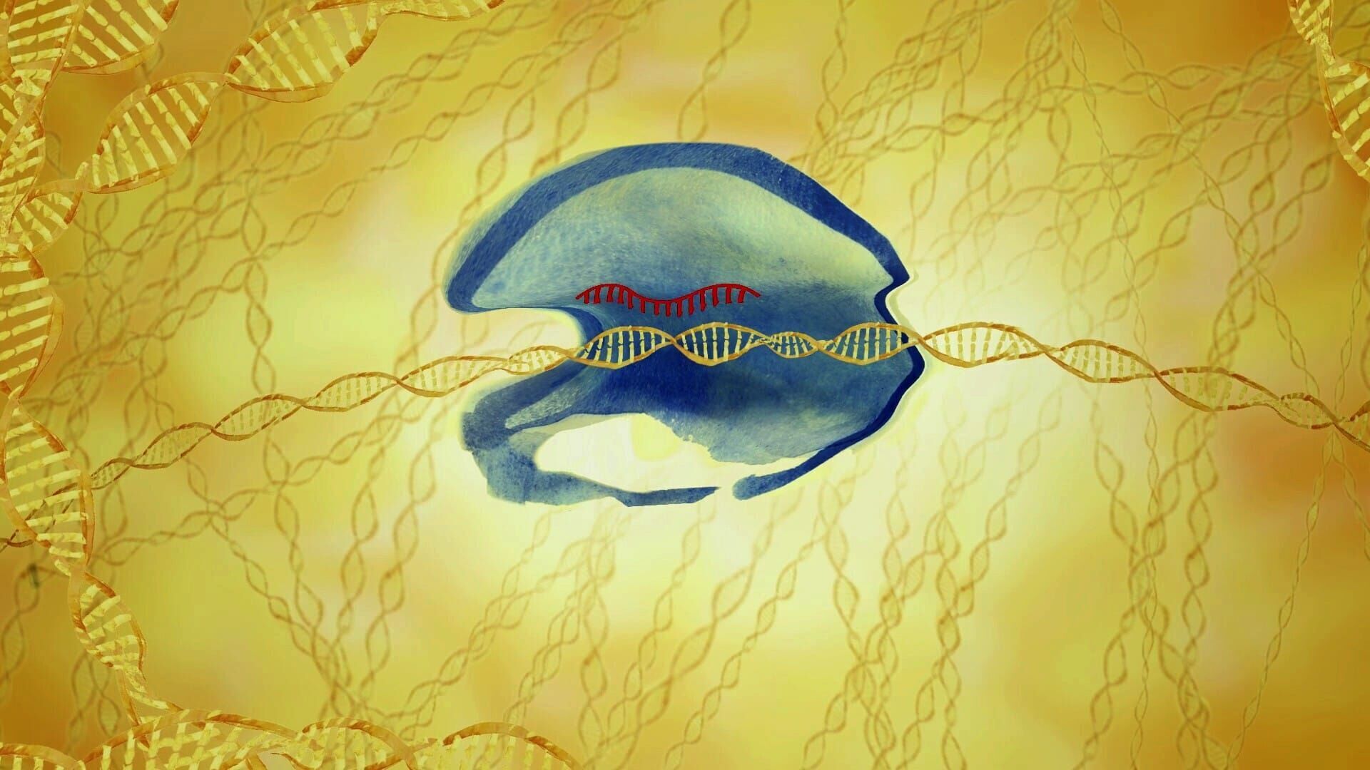 Tailored Humanity: A Revolution in Genetics