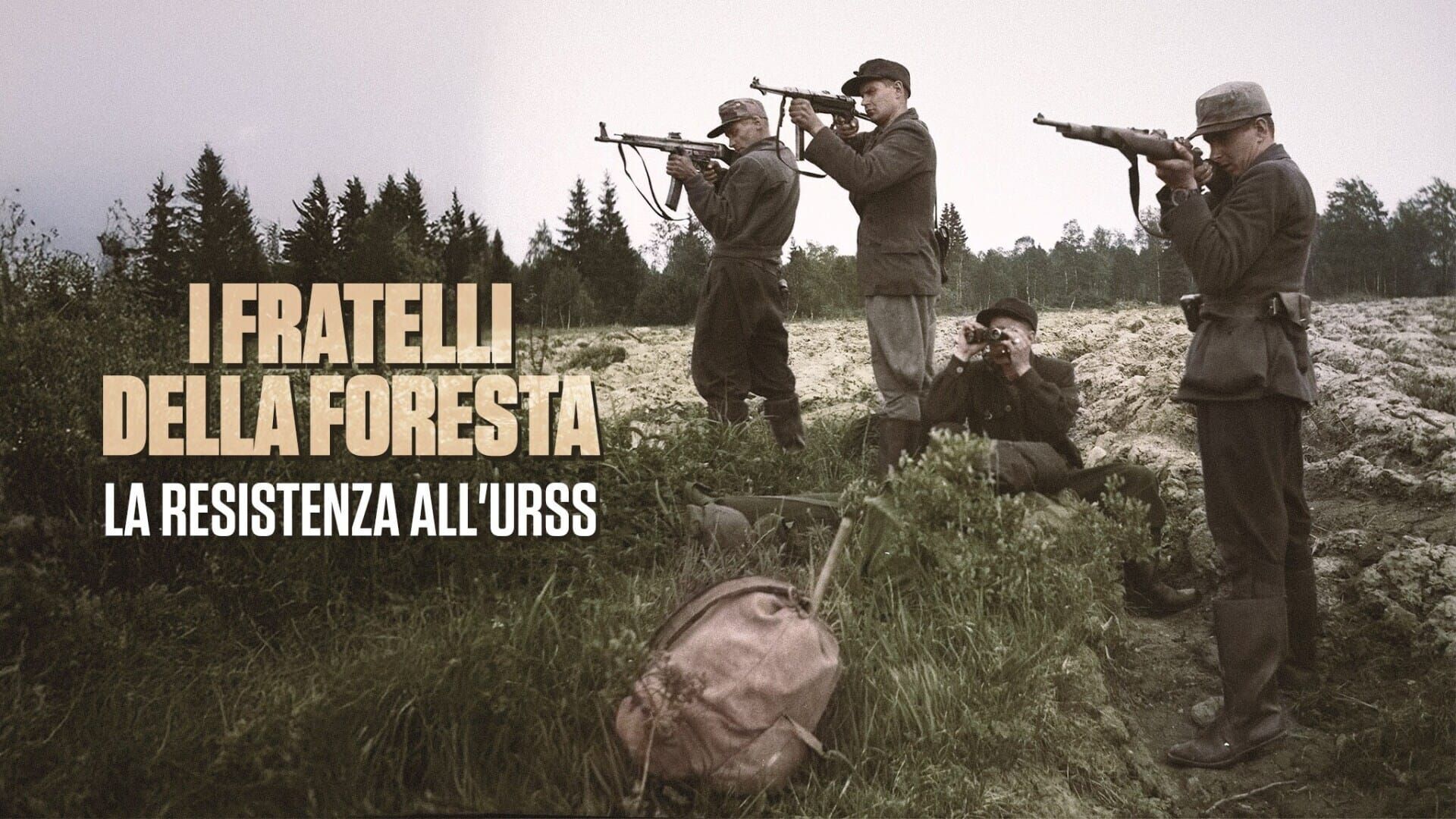 I fratelli della foresta: la resistenza all'URSS