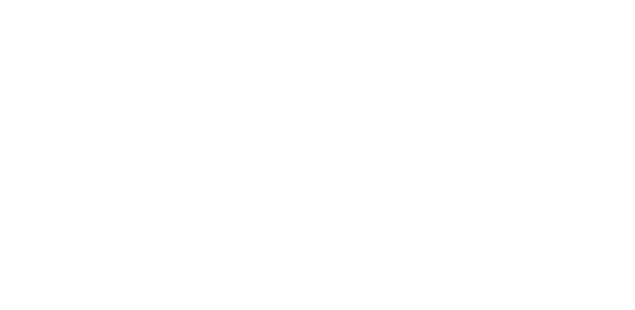 Au c?ur des douanes