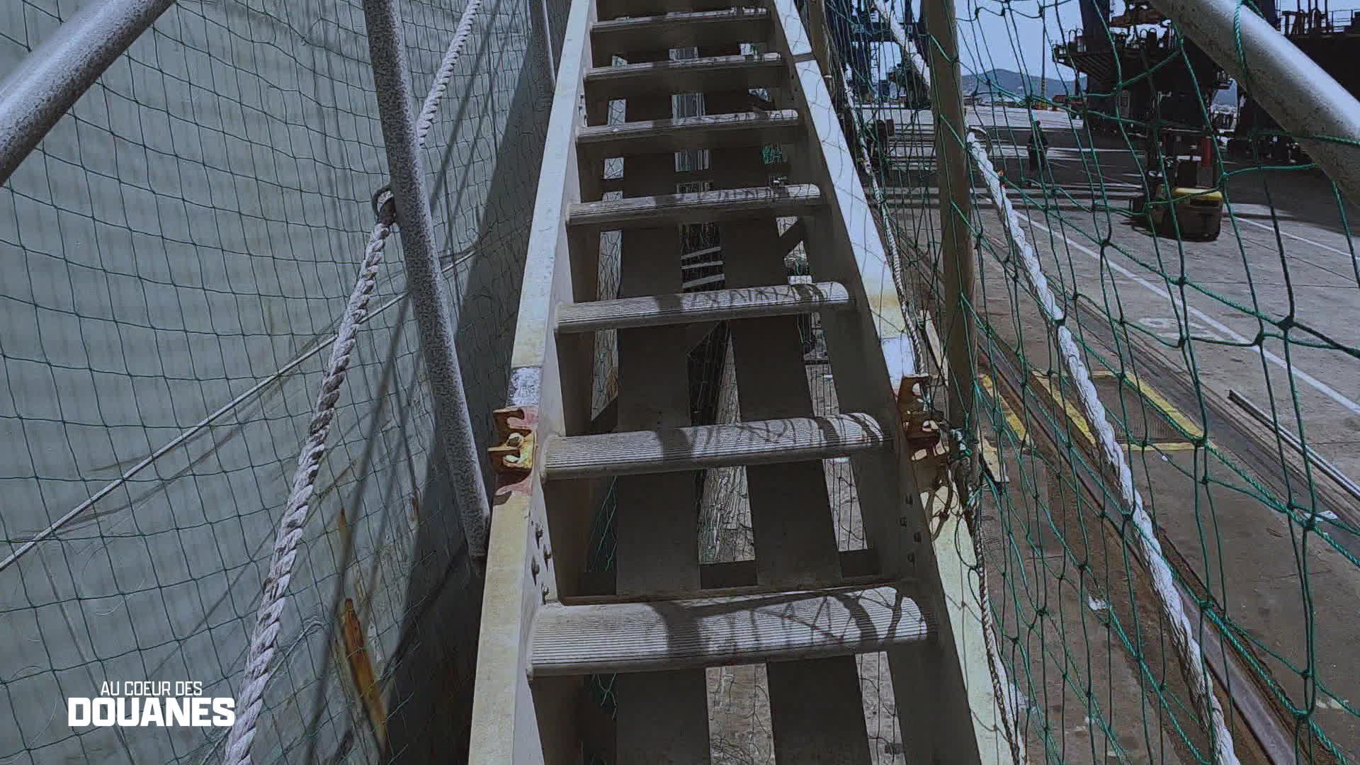 Au c?ur des douanes