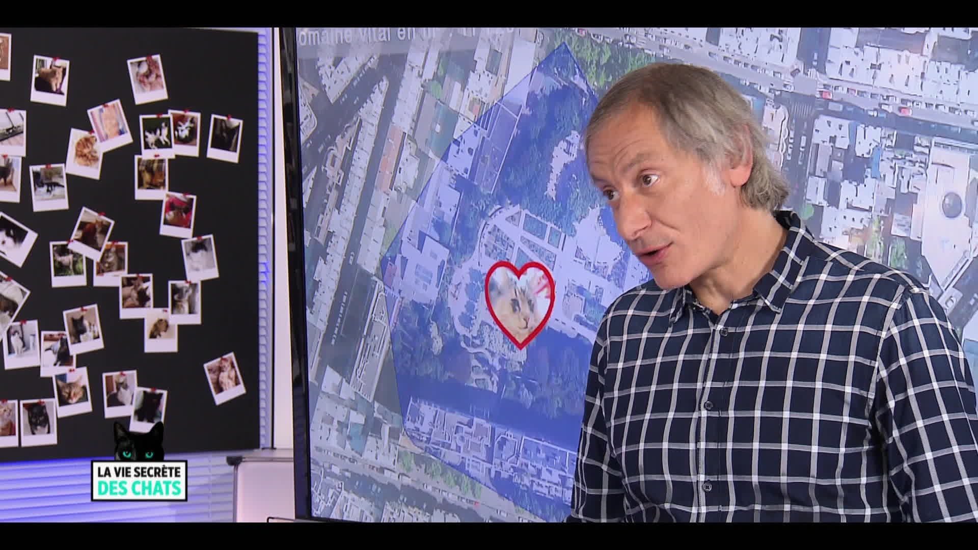 La vie secr�te des chats du 28 F�vrier