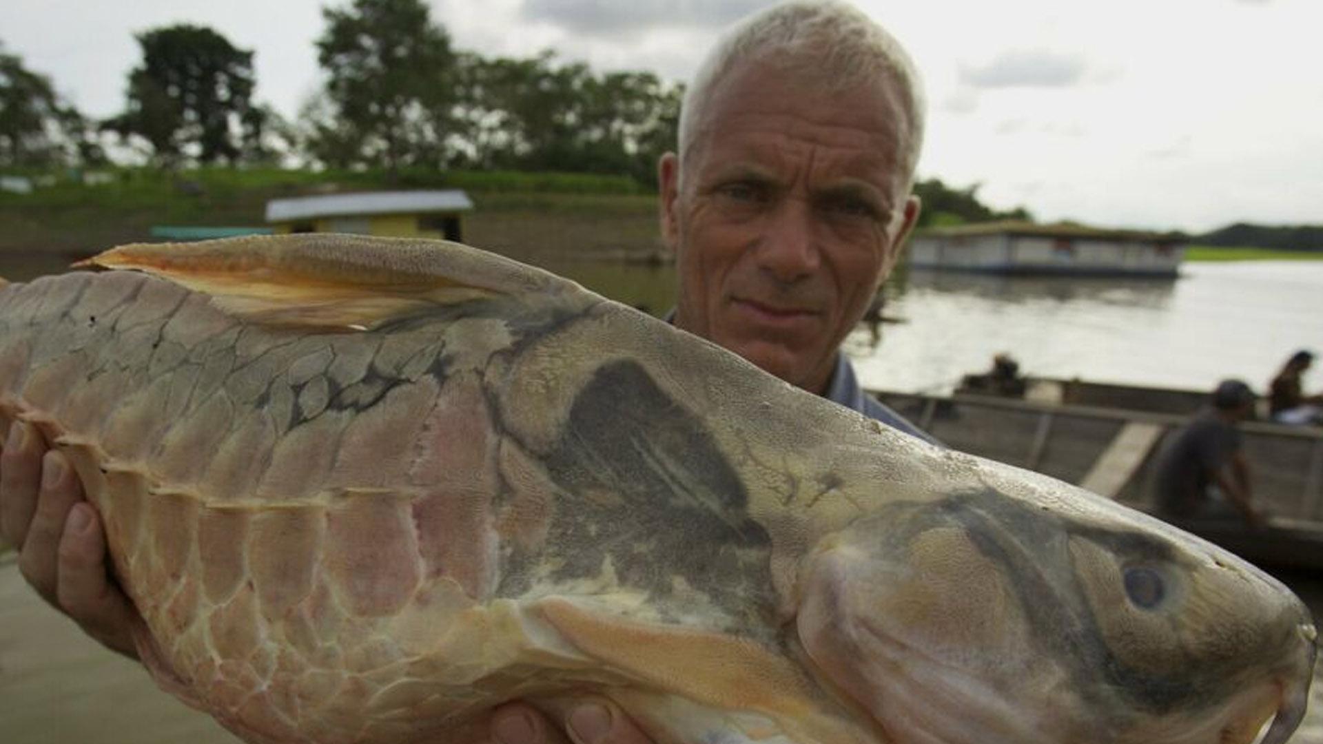 Revoir river monsters en replay