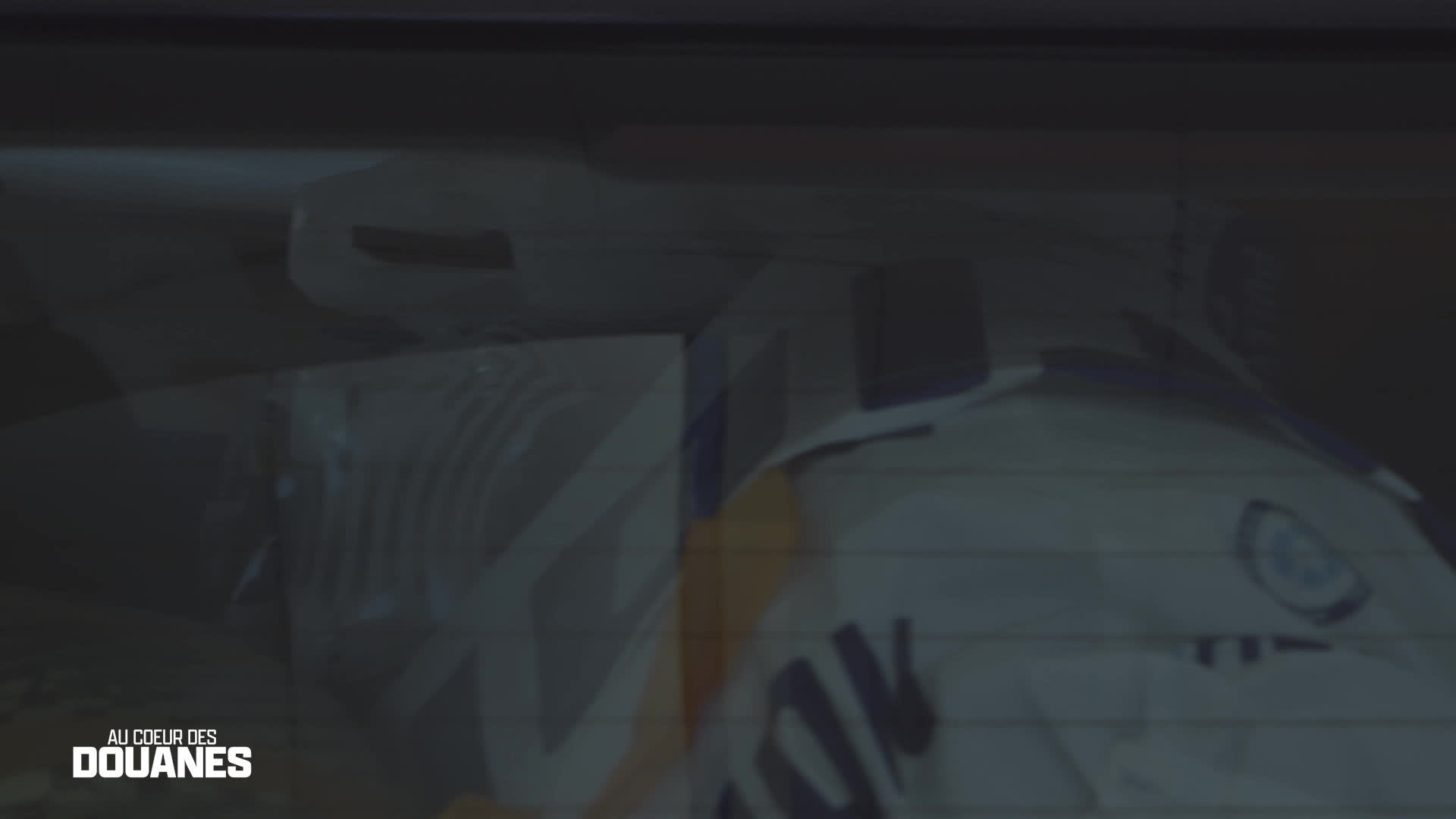 Au c?ur des douanes