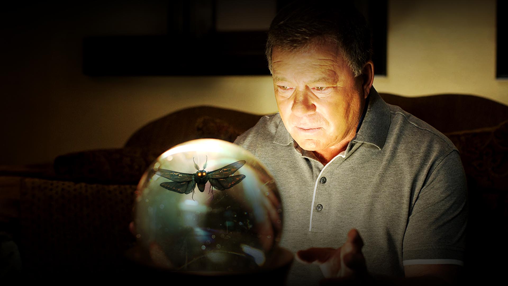 Aux limites du r�el - avec william shatner du 24 Janvier