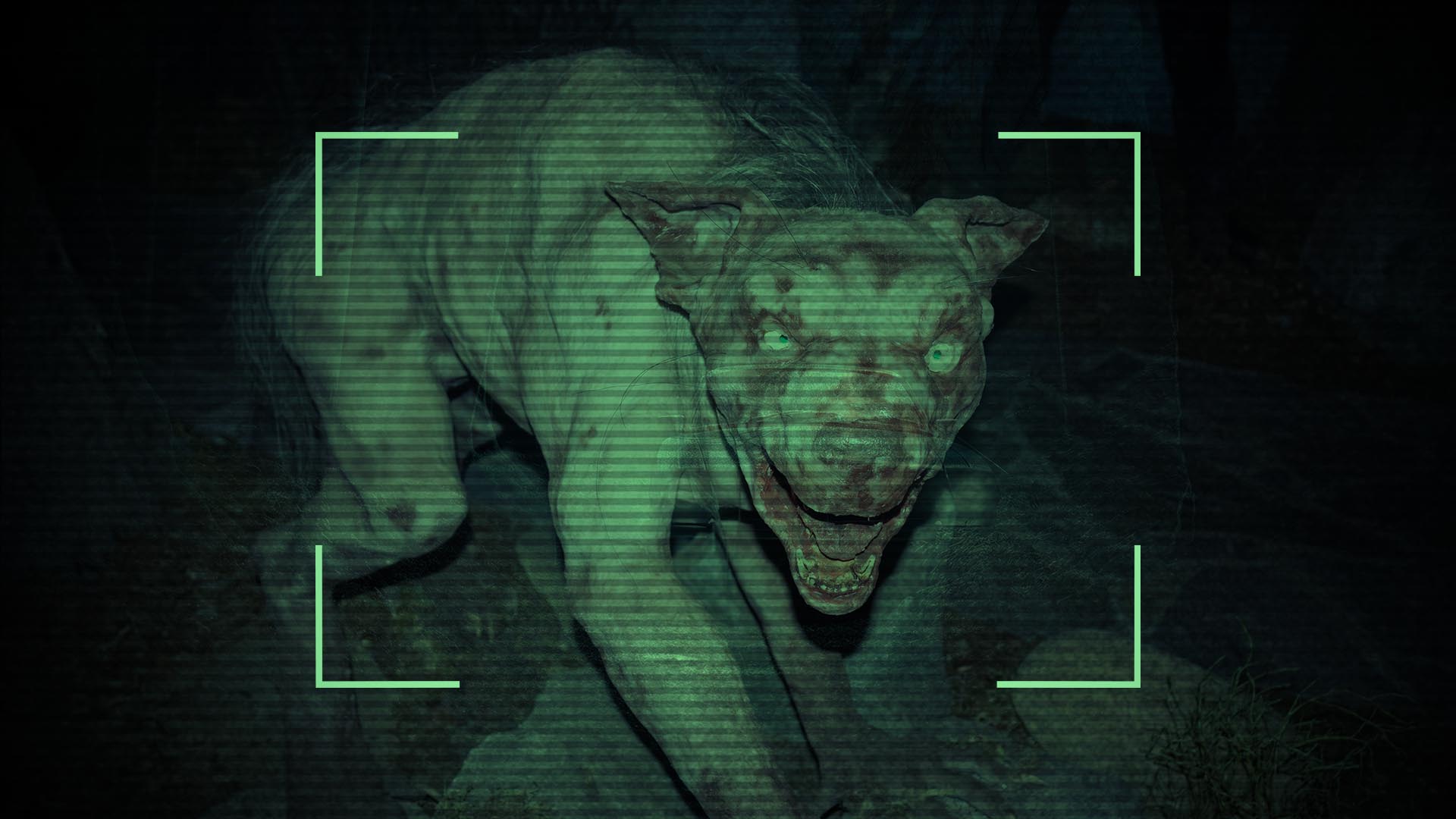 Strange evidence du 29 Janvier Strange evidence du 29 Janvier