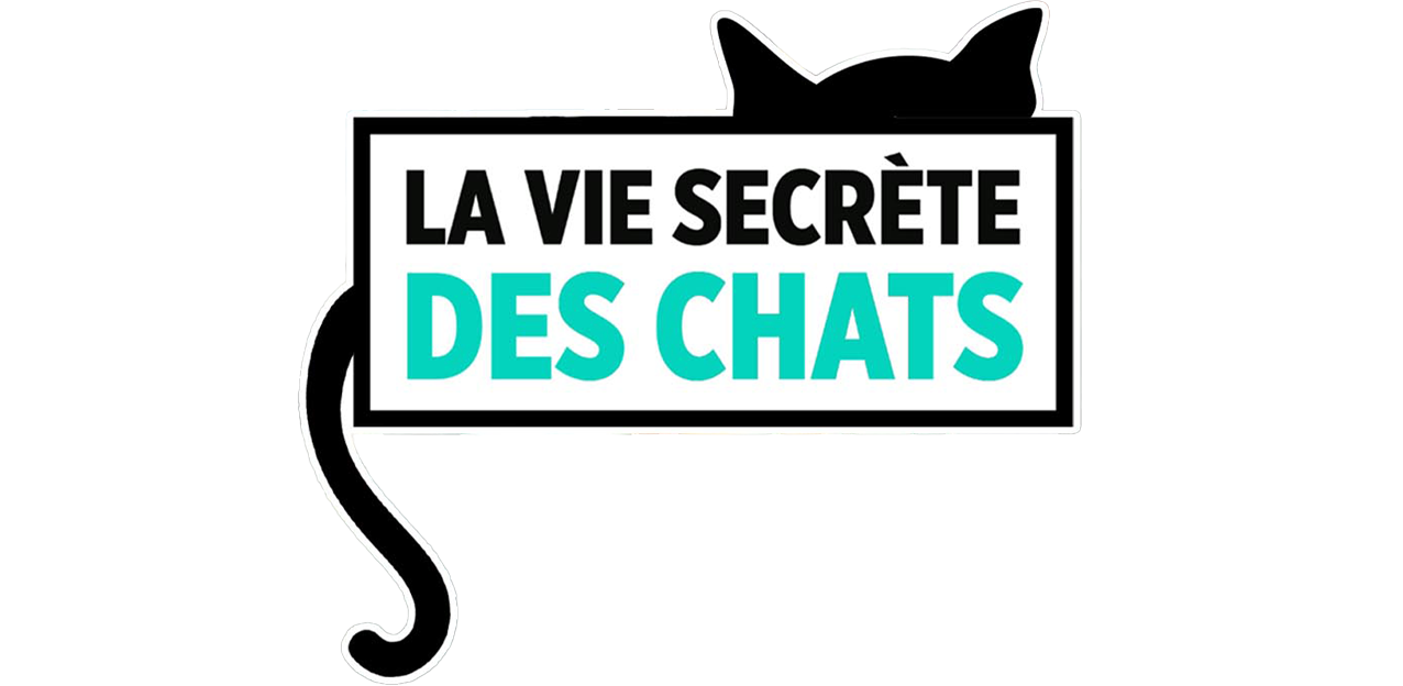 Replay La vie secrète des chats
