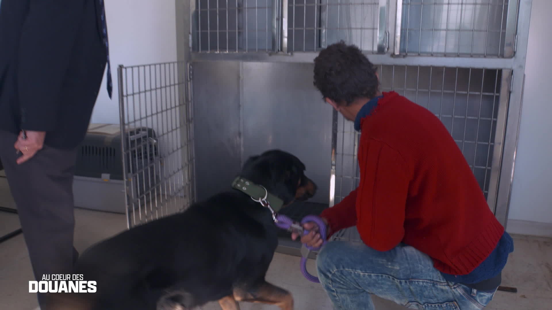 Replay Au c?ur des douanes