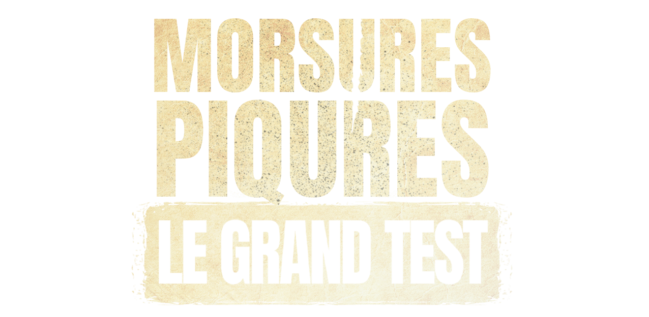 Morsures et piq�res : le grand test