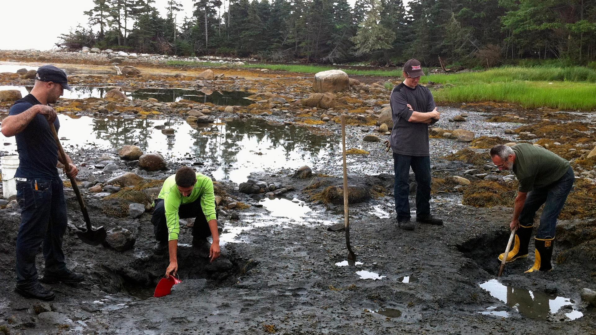 Le myst�re d'oak island : la course au tr�sor