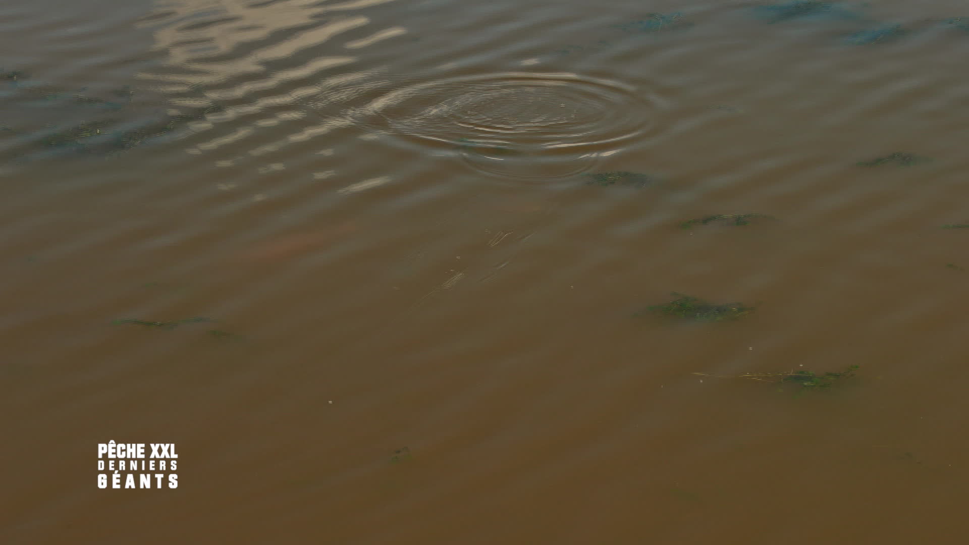 P�che xxl : derniers g�ants du 06 F�vrier