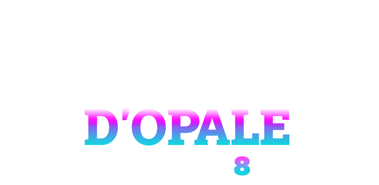 Revoir Chercheurs d'opale du 20 Septembre