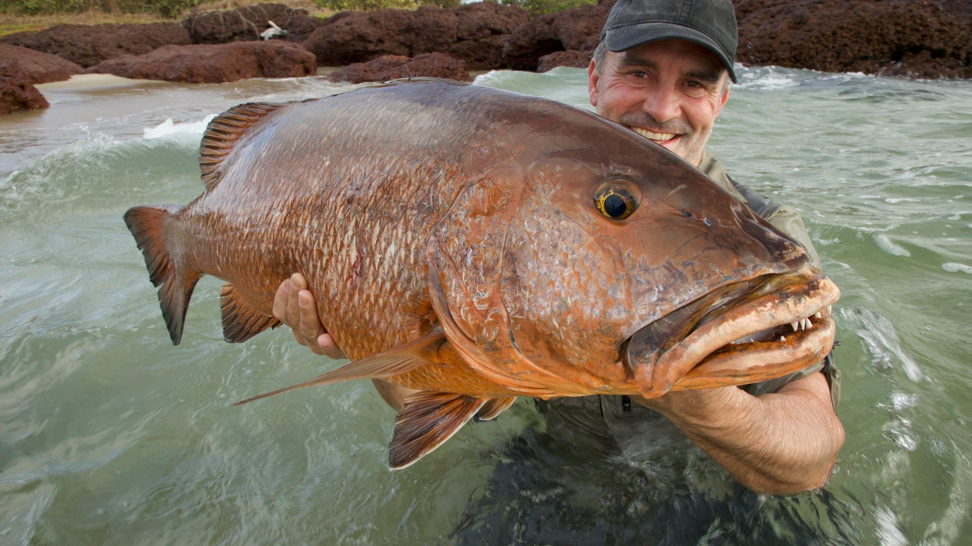 Replay Pêche xxl : derniers géants